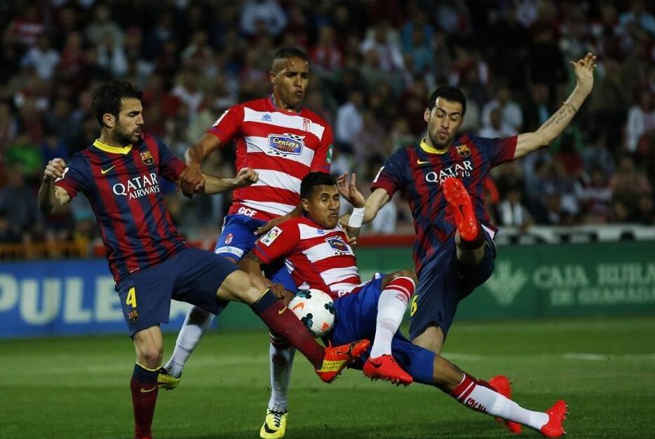 他们在规则 他们在规则