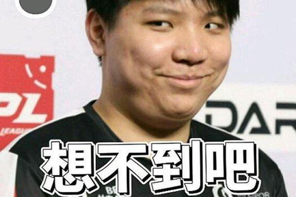 队整体实力
