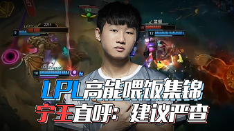 其职业生涯 其职业生涯