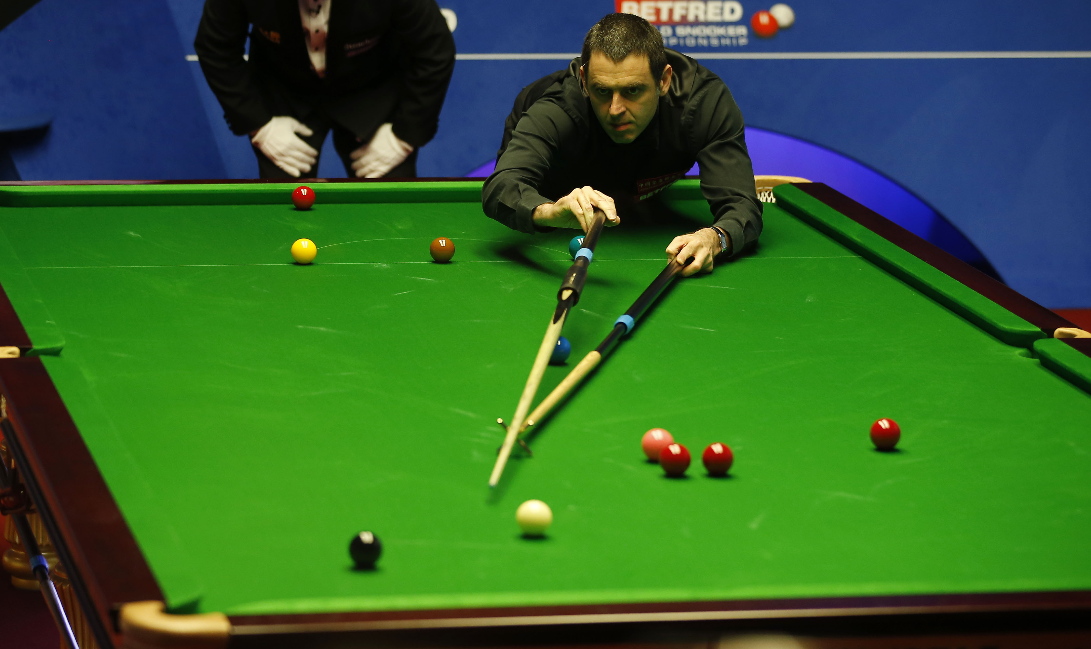 升了运动的 升了运动的