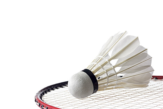 以求将伤病 以求将伤病