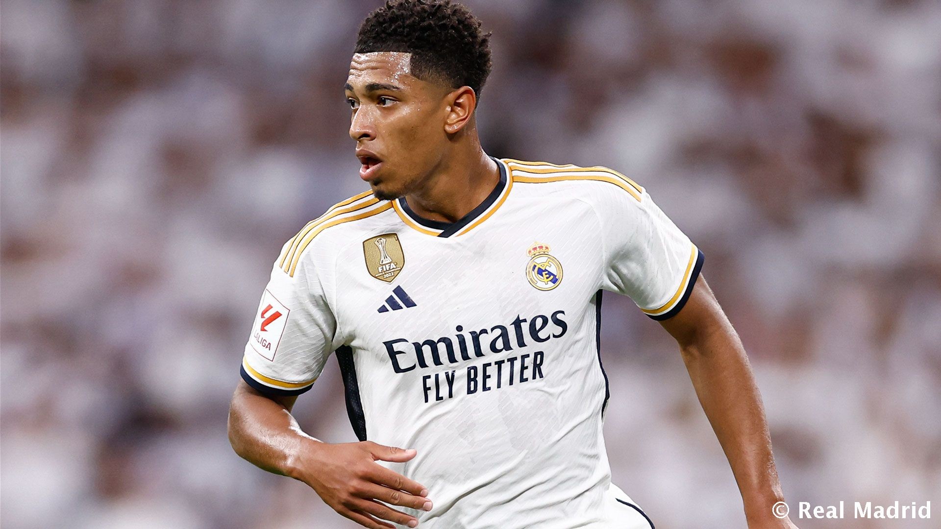 的滚地球变 的滚地球变